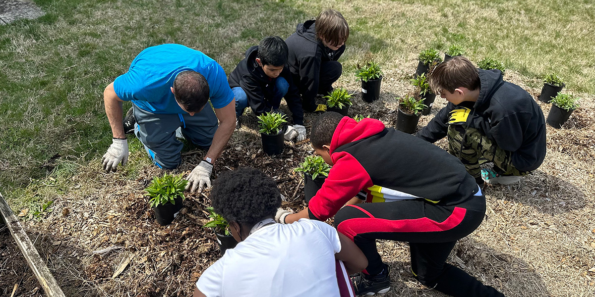 conservation gardens at Marley Middle and Park Elementary